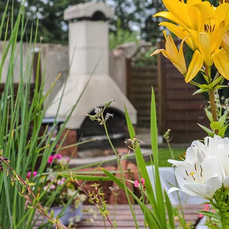 公寓 In Ostseenaehe 巴斯托夫