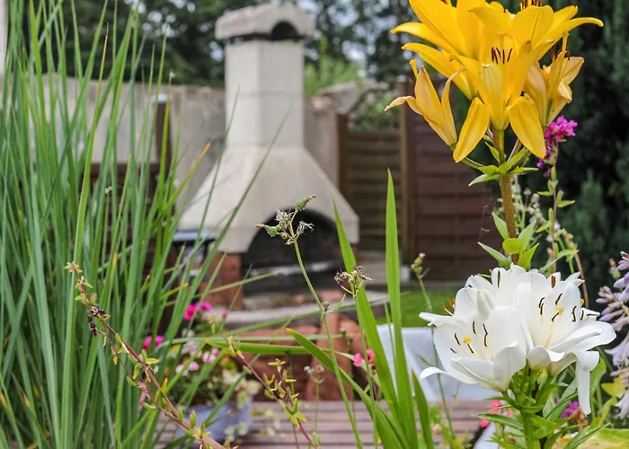 Lägenhet In Ostseenaehe Bastorf